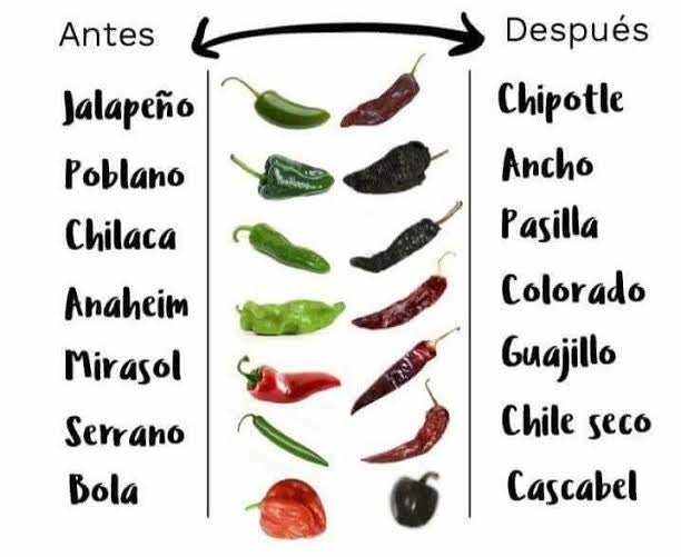 Chiles Mexicanos Secos